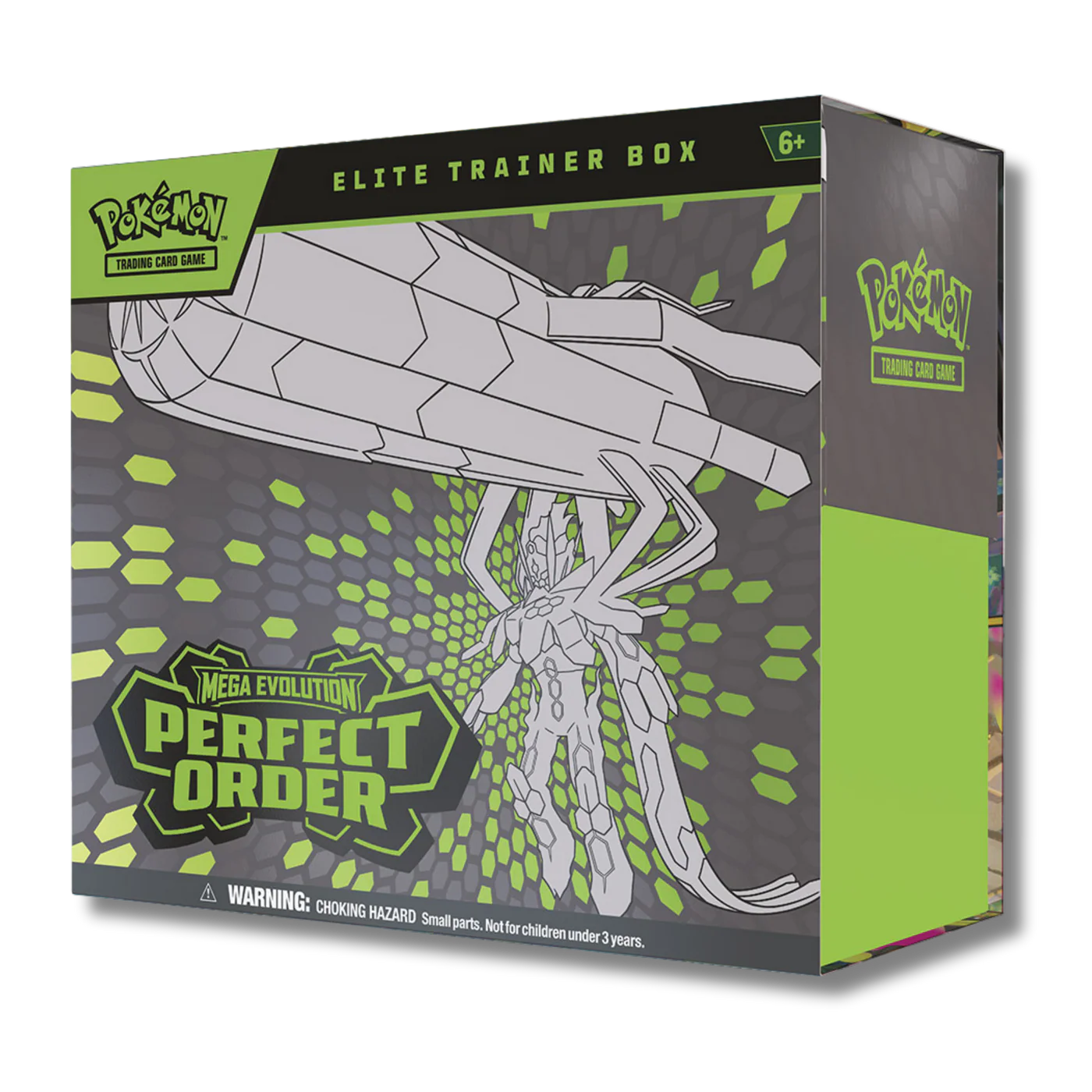 ETB Caja de Entrenador Elite Perfect Order - Ingles